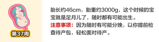 怀孕三十七周的身体变化