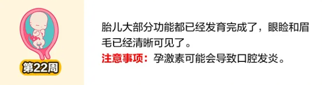 怀孕二十二周的身体变化